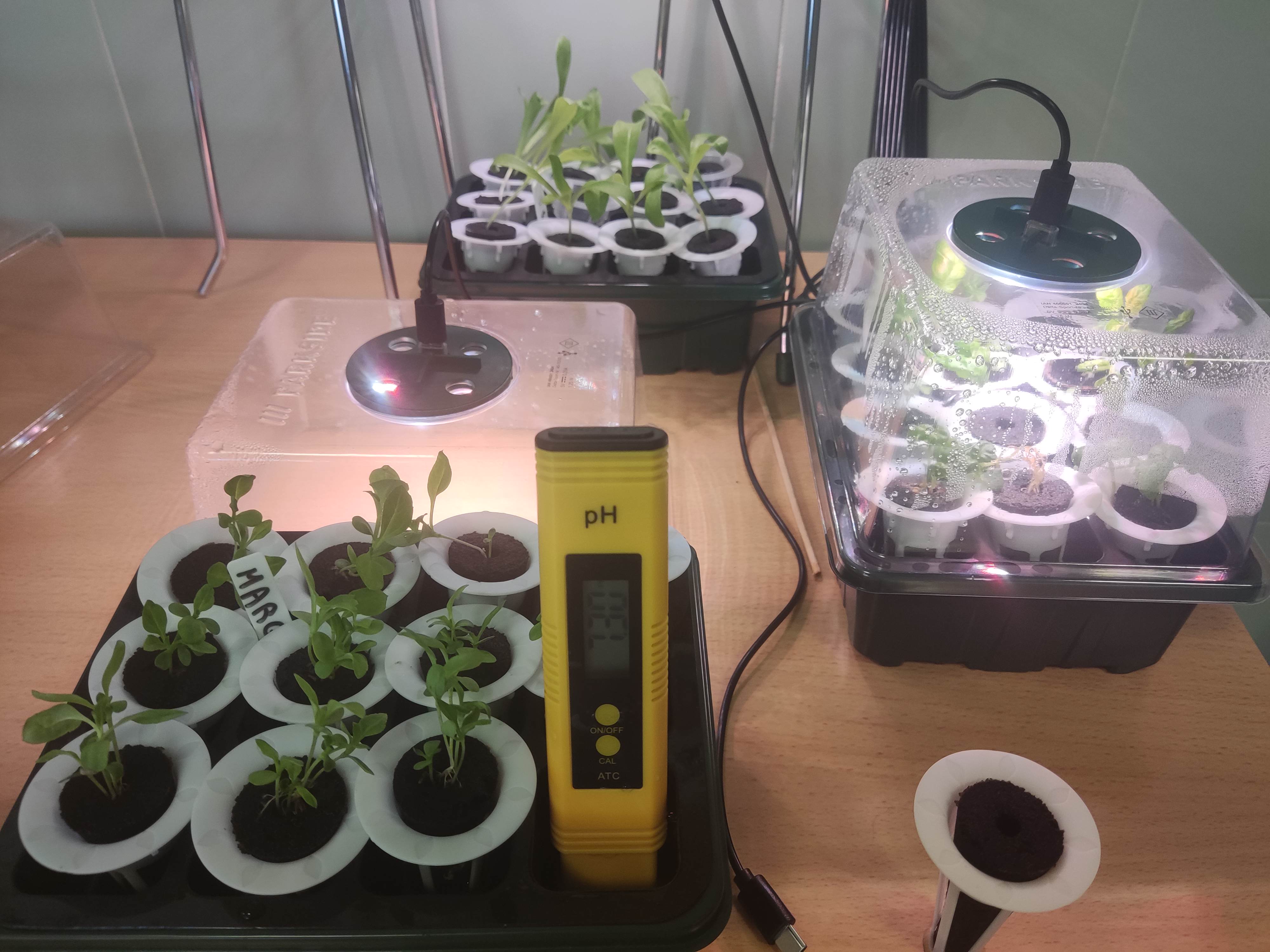 Monitoring cooling and surface temperature in improved outdoor areas