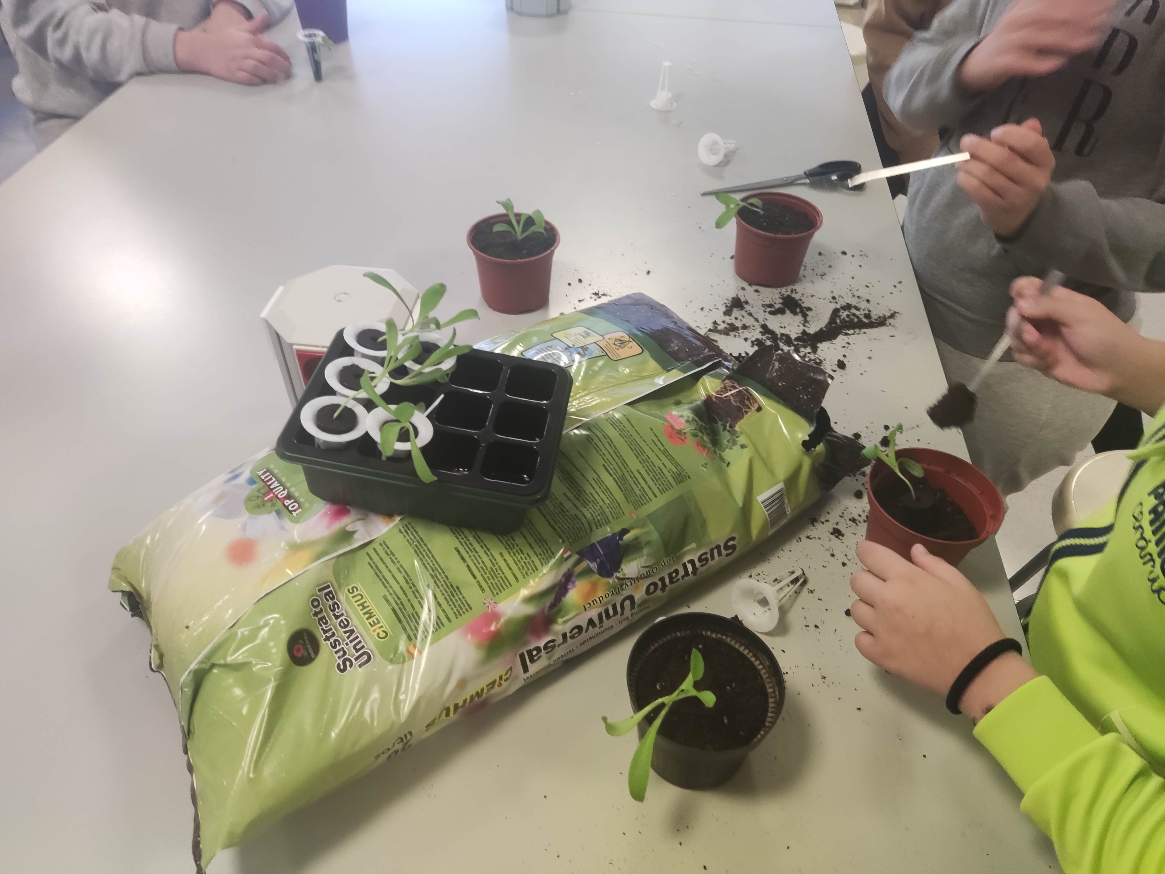 Long-term climate action gallery card